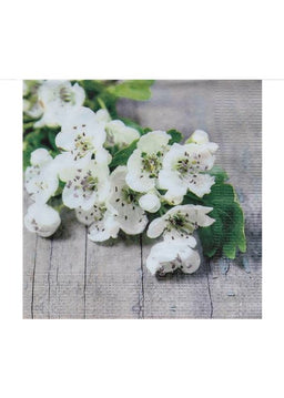 ITEM SS2001 WH - 13in 20 PACK LUNCHEON 3 PLY NAPKIN (WHITE HAWTHORN)